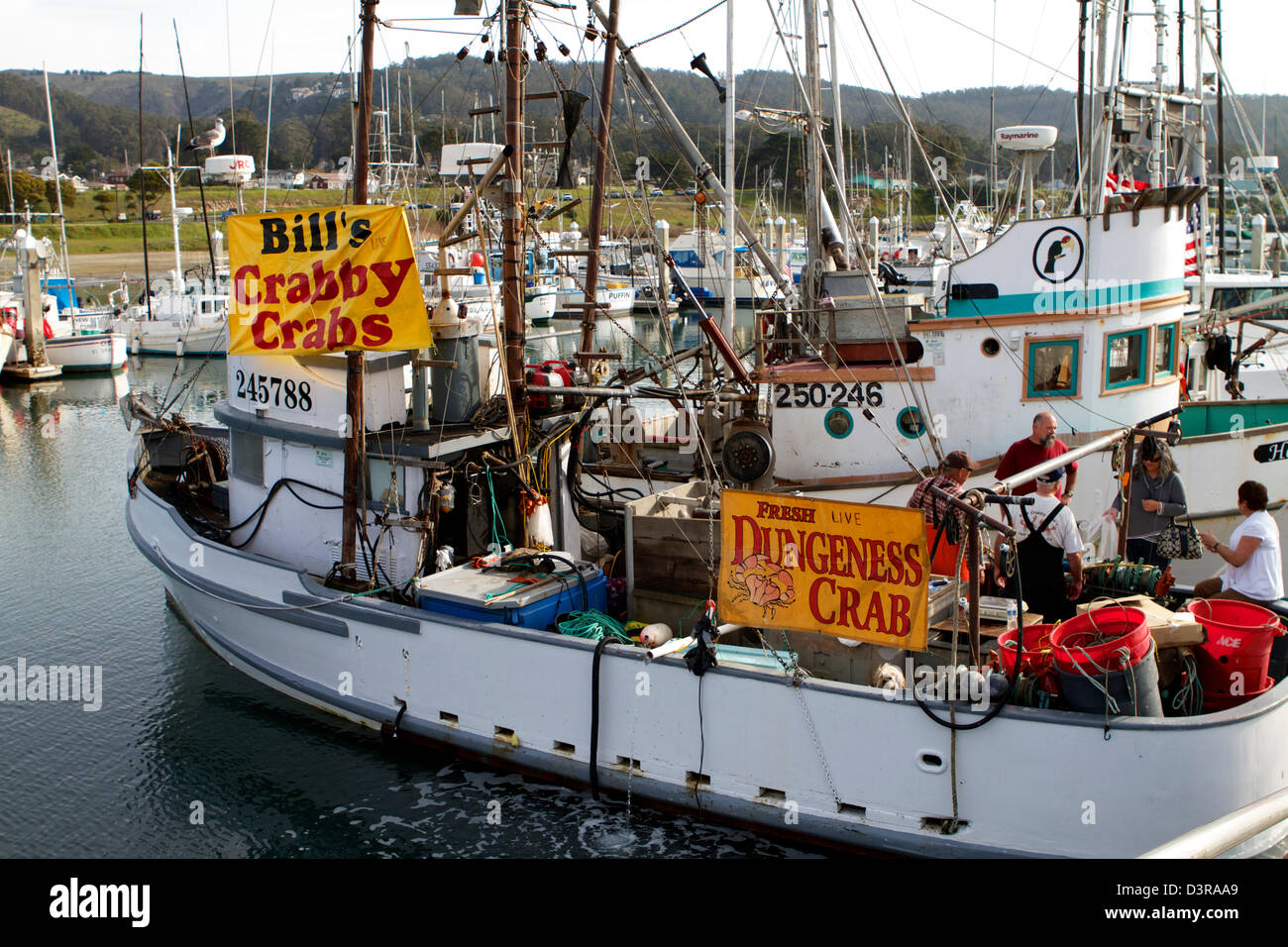Crab fishermen selling fresh crabs from their boats on the dock at