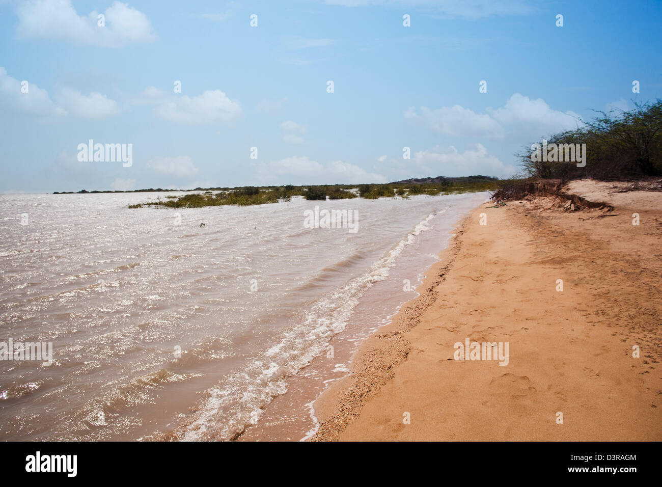 Muddy water at Balachadi Beach, Jamnagar, Gujarat, India Stock Photo