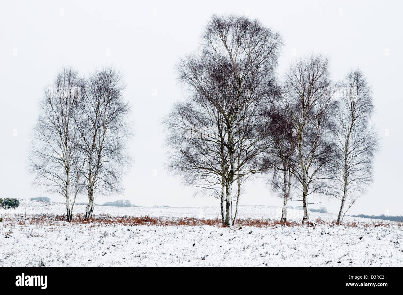 Snowfall in hampshire hi-res stock photography and images - Alamy