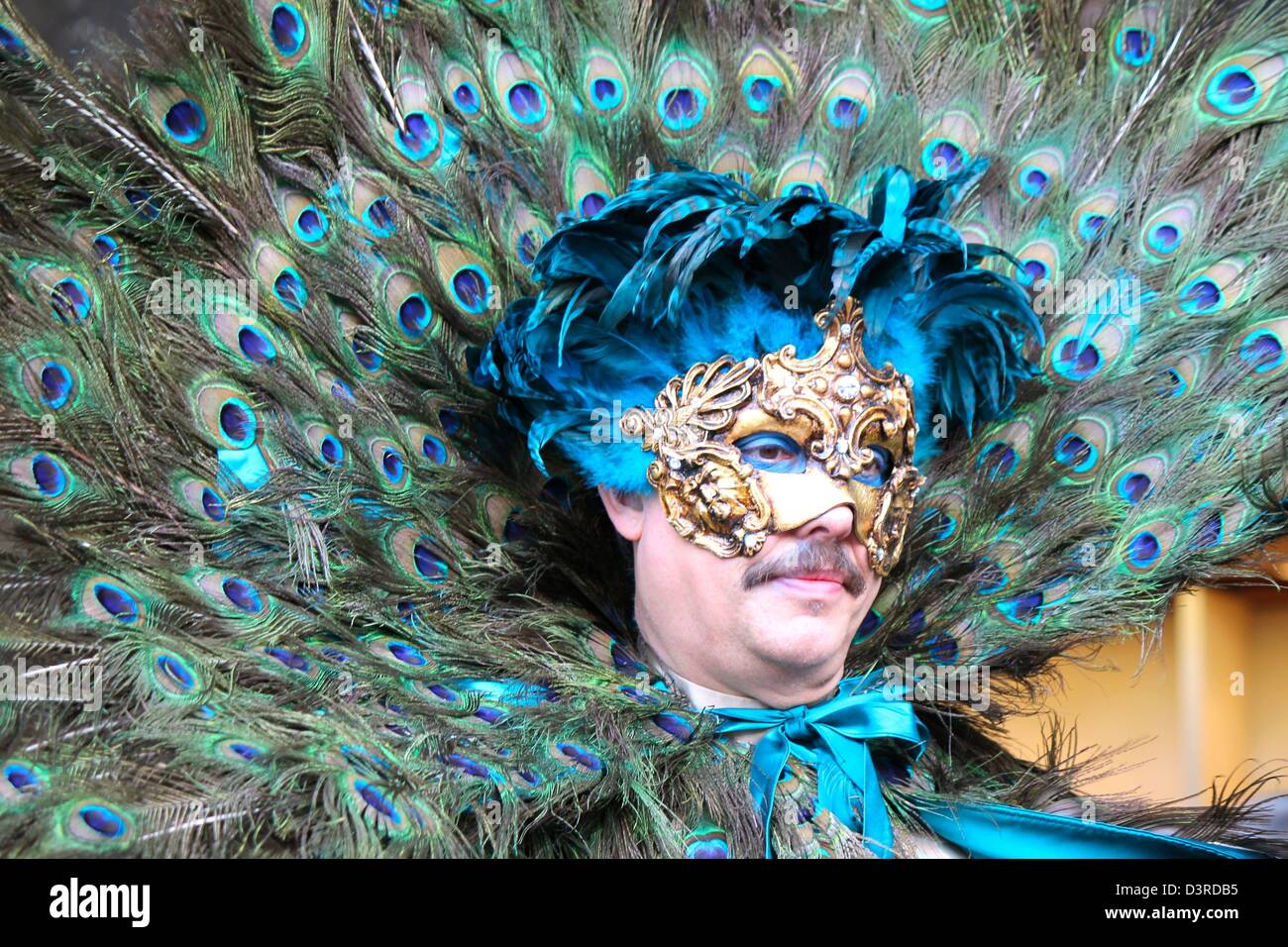 Peacock costume hi-res stock photography and images - Alamy