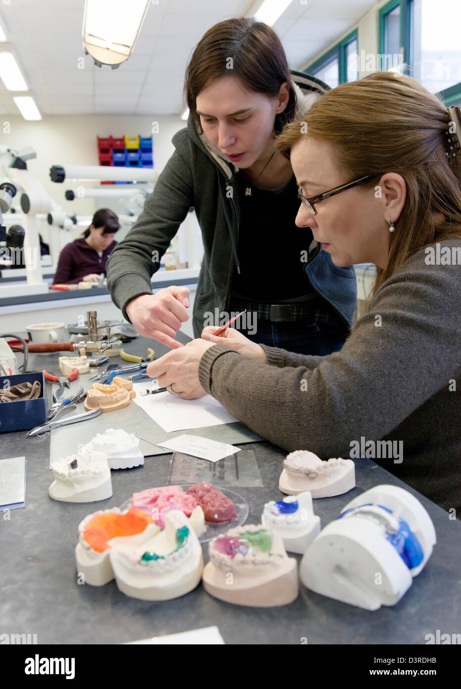 Dental models hires stock photography and images Alamy