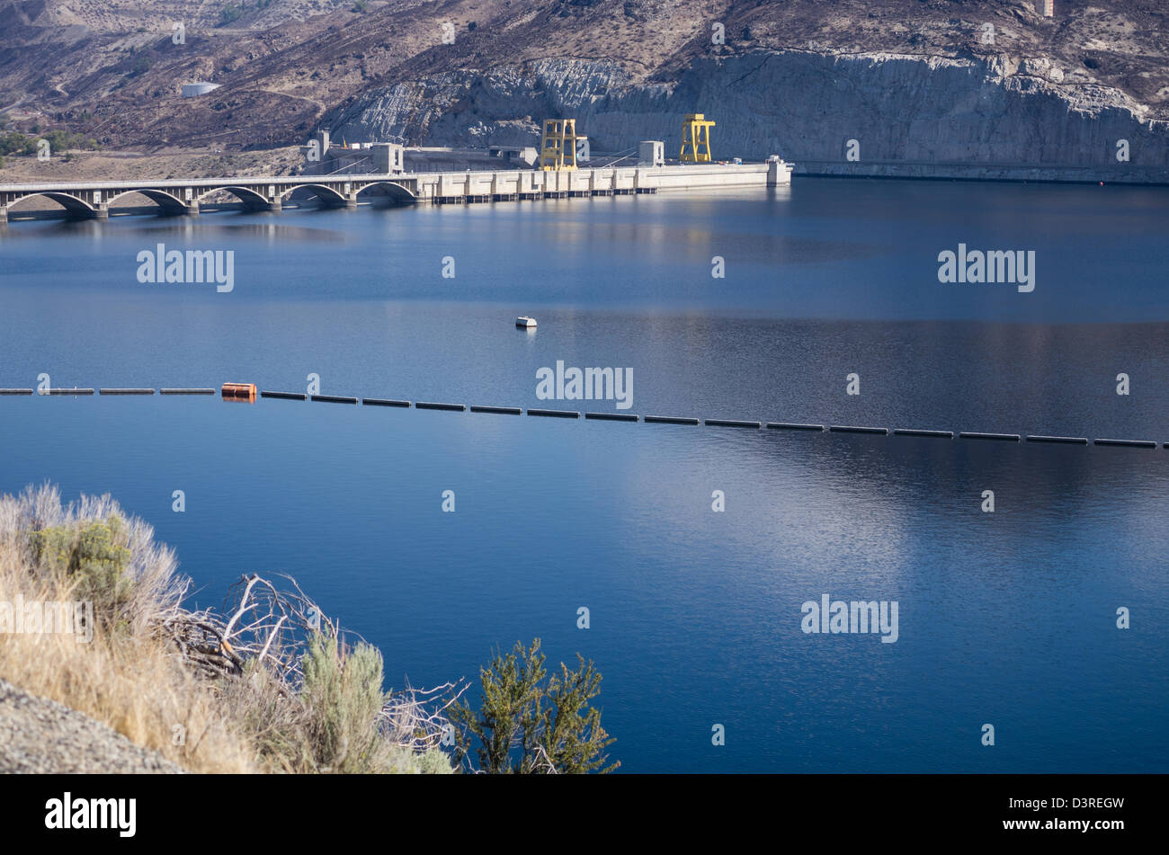 Coulee Dam, Washington, United States, Grand Coulee Dam is the largest producer of