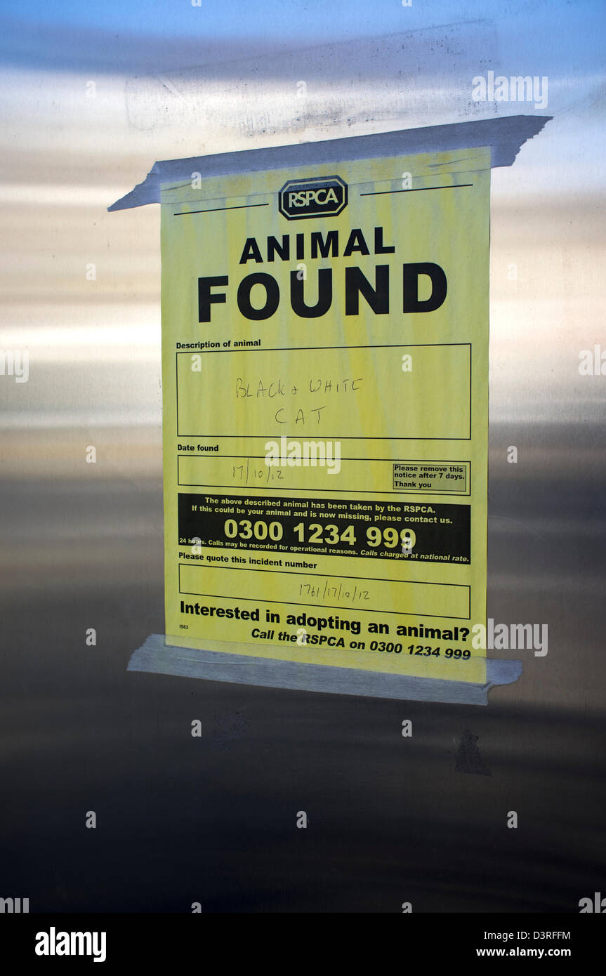 Rspca lost and found 2025