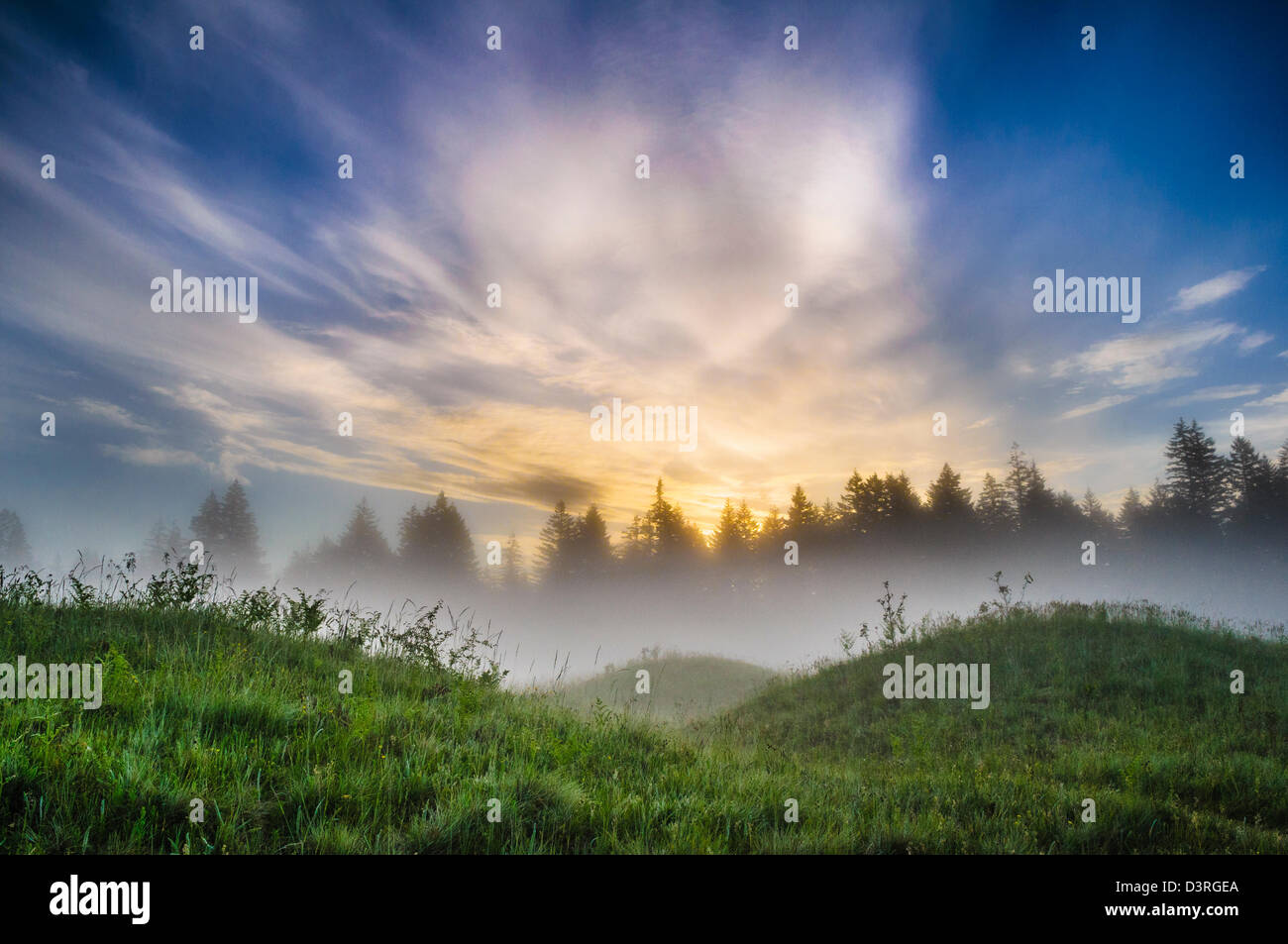 Foggy sunrise at Mima Mounds Natural Area, Washington. Stock Photo