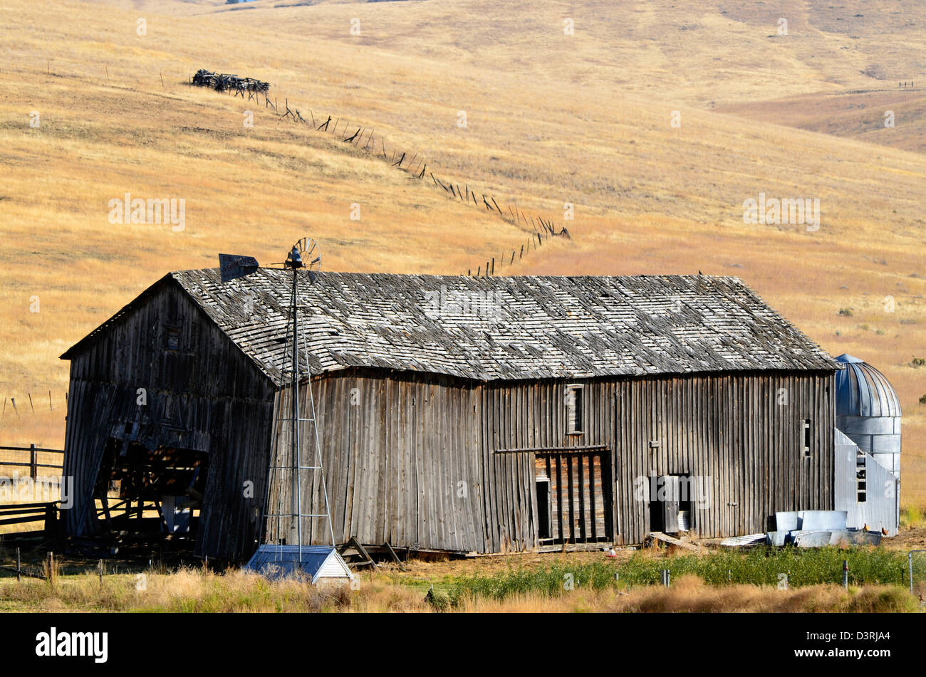 Old barn, Wheeler County, Eastern Oregon Stock Photo - Alamy