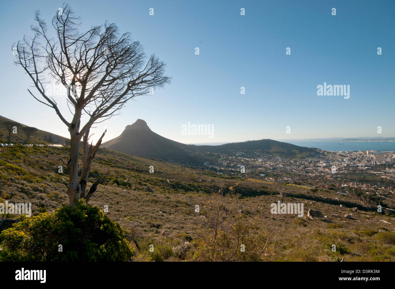 Views of the City Bowl, Cape Town Stock Photo Alamy