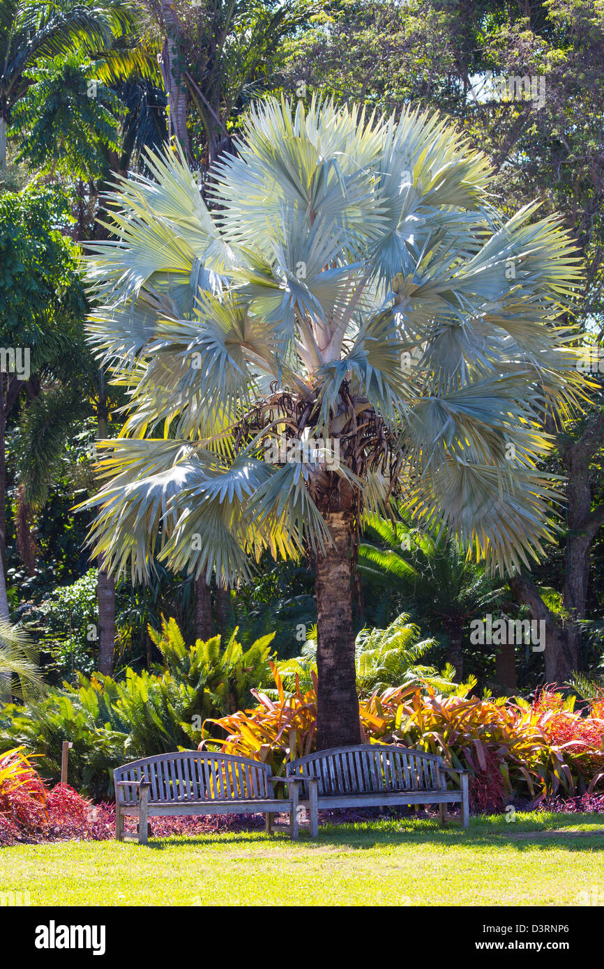 Fairchild Tropical Botanic Garden In Coral Gables In The Miami