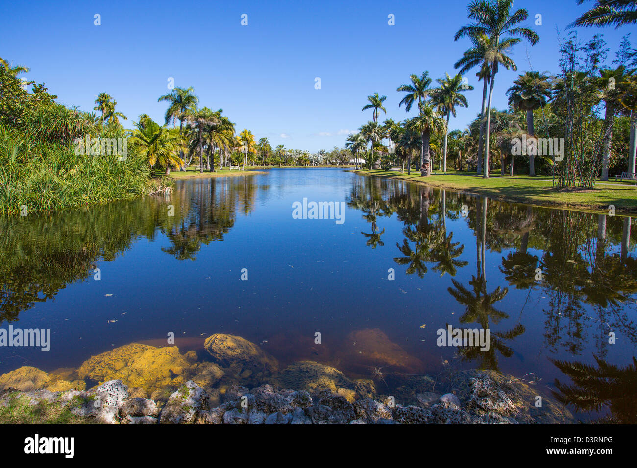 Fairchild Tropical Botanic Garden in Coral Gables in the Miami area of Florida Stock Photo Alamy