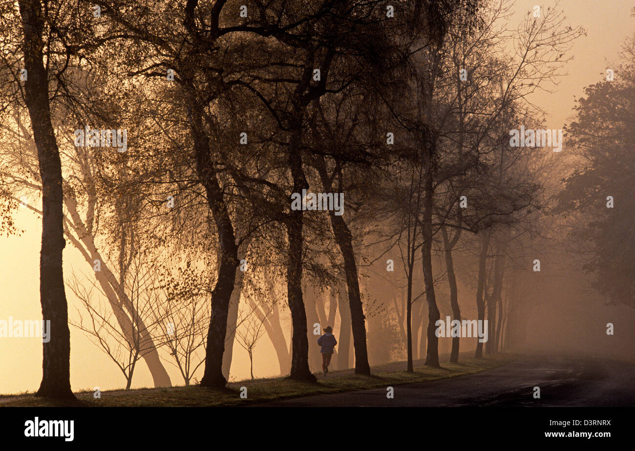 Runner in fog along Washington Boulevard, near Seward Park with silhouetted trees sunrise Seattle, Washington State USA Stock Photo