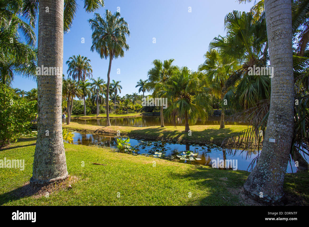 Fairchild Tropical Botanic Garden in Coral Gables in the Miami area of Florida Stock Photo