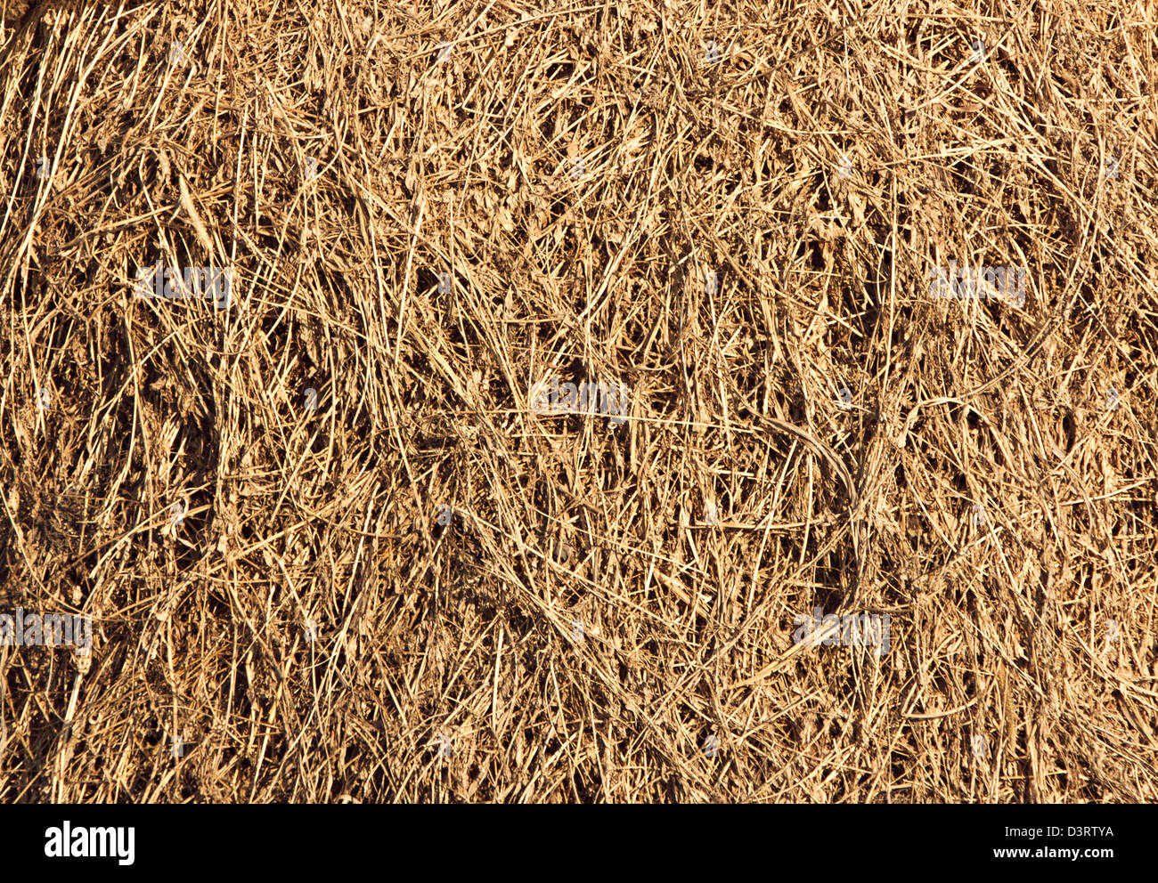 Hay bale texture hi-res stock photography and images - Alamy