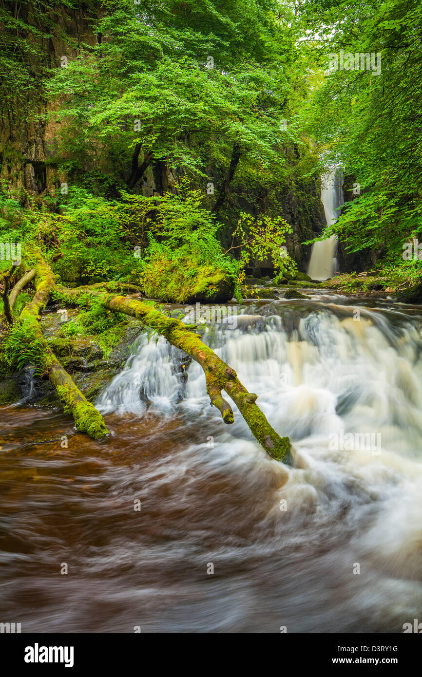 Catrigg force near Stainforth in North Yorkshire. Stock Photo