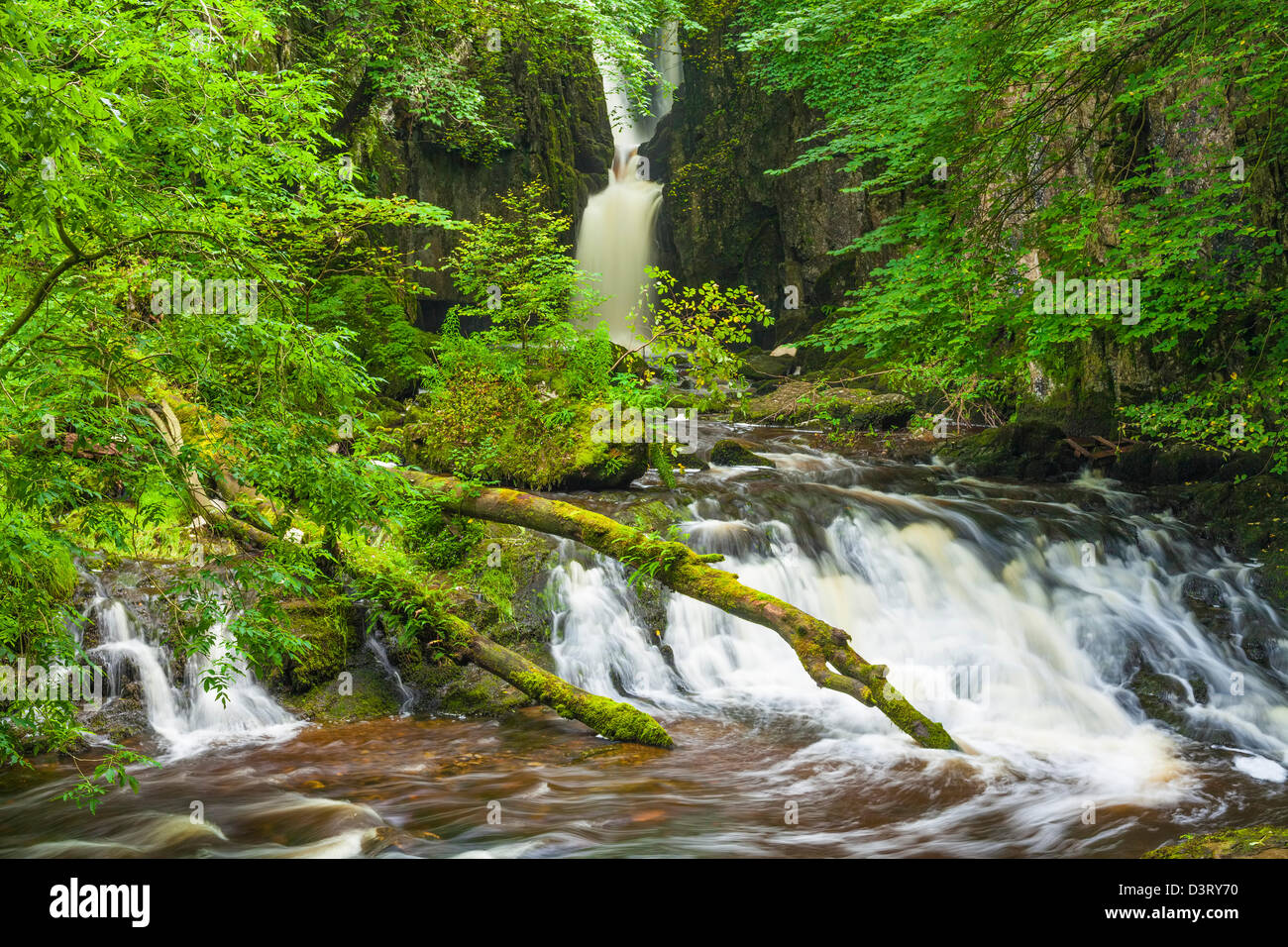 Catrigg force near Stainforth in North Yorkshire. Stock Photo