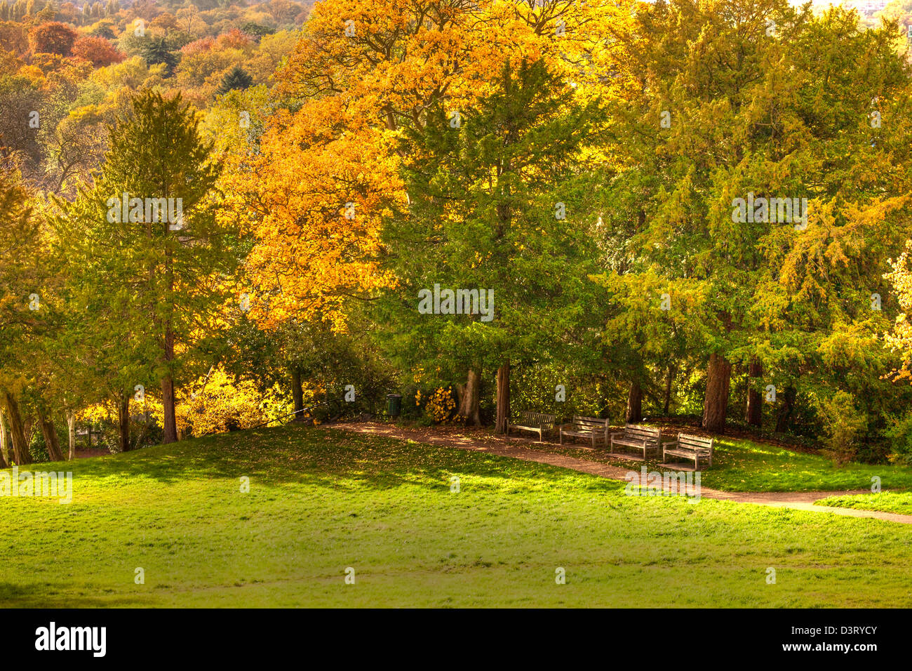 Photographing autumn colours hi-res stock photography and images - Alamy