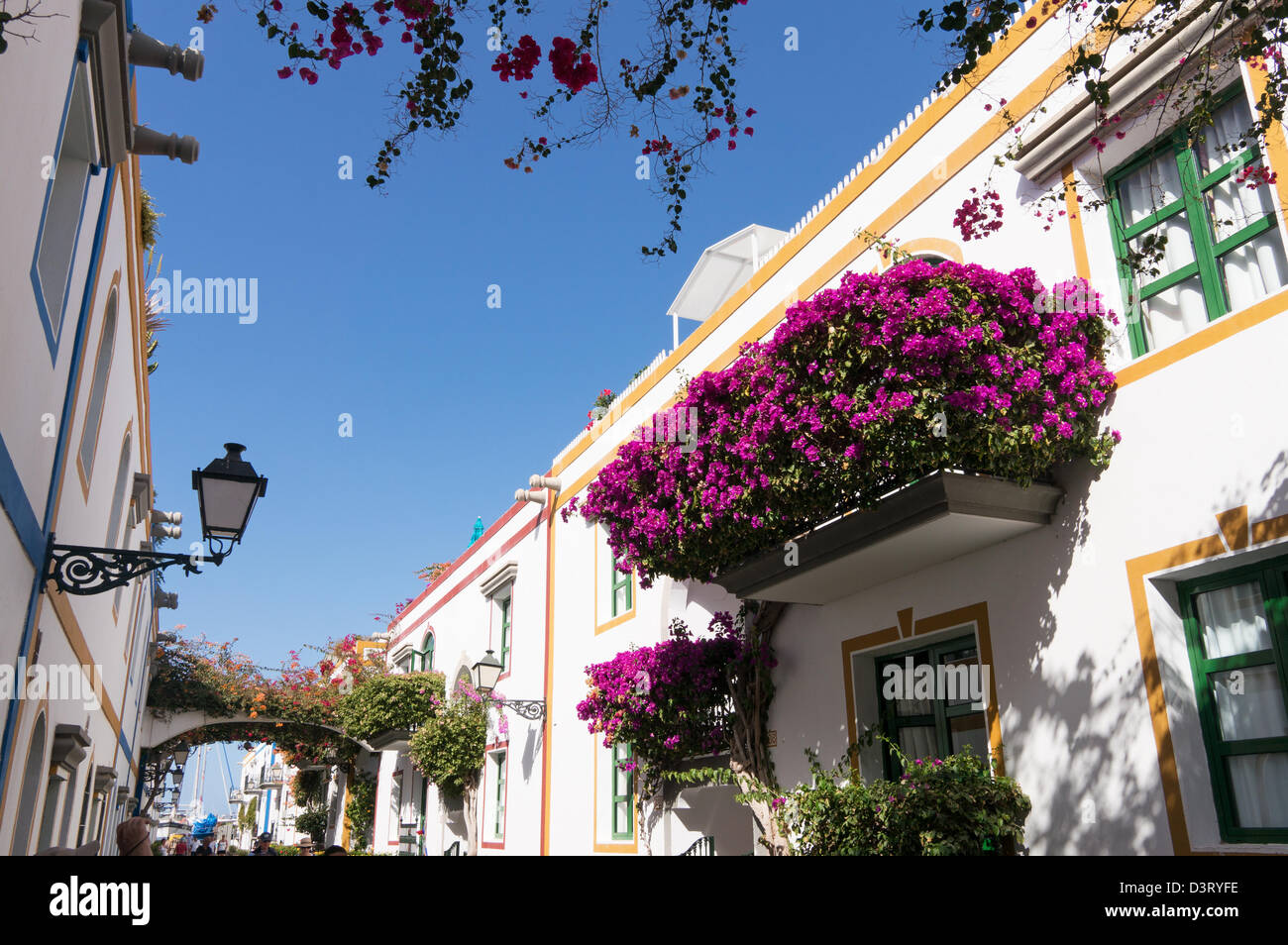Bougainvillea Balcony High Resolution Stock Photography And Images Alamy