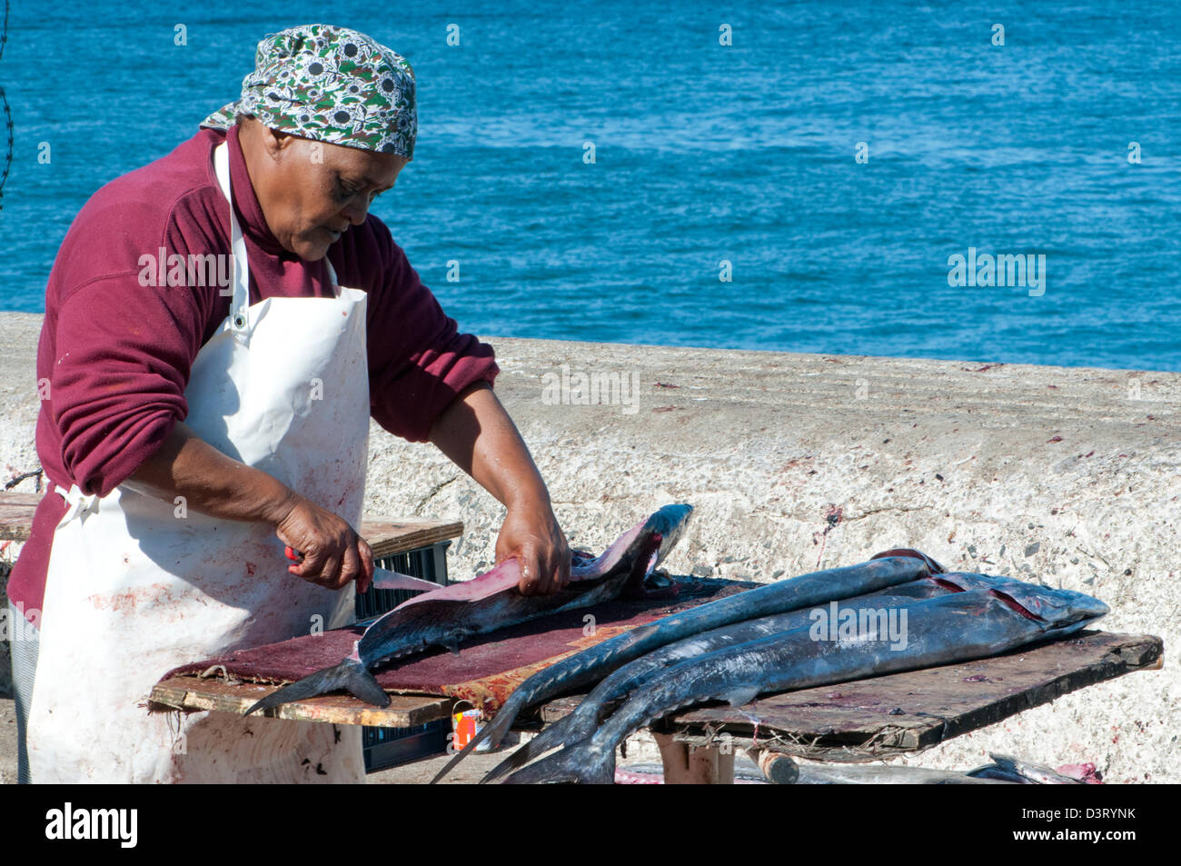 Woman filleting snoek at fish market, Kalk Bay, South Africa Stock Photo