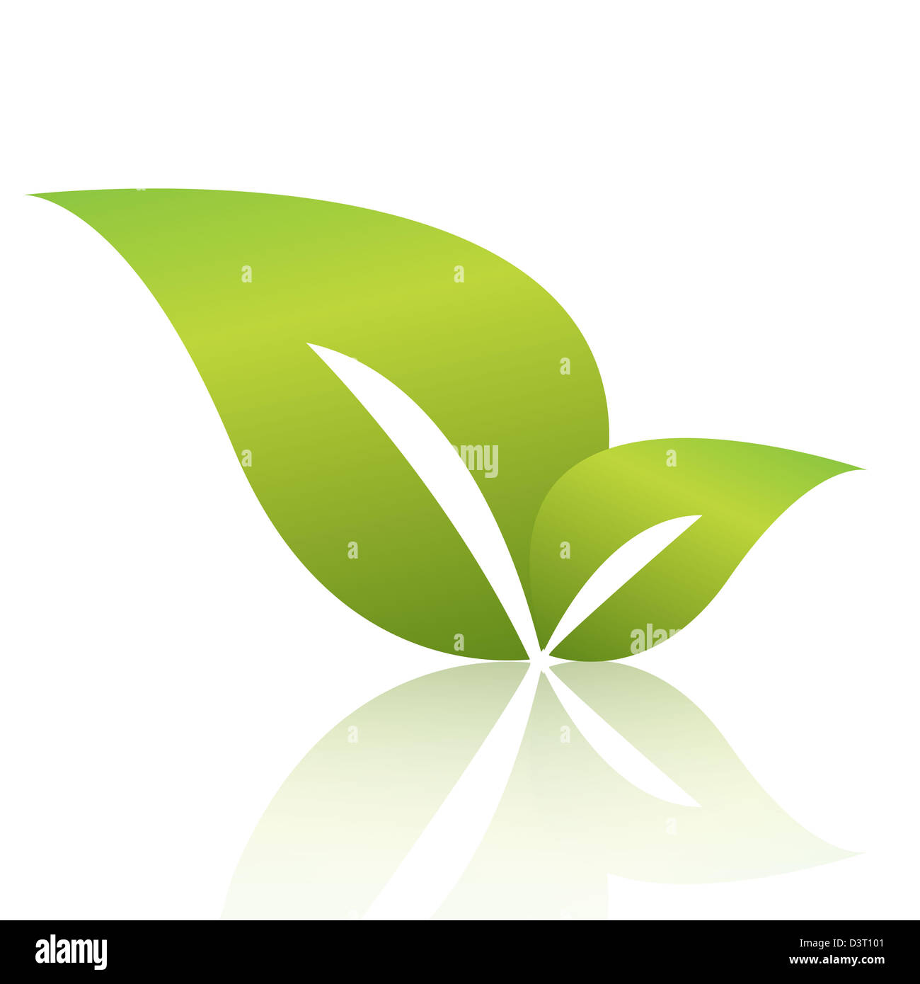 illustration, two green sheets with reflection on white background