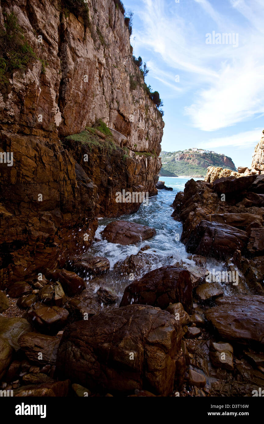 Featherbed Nature Reserve, Knysna, Natural Heritage Site, South Africa Stock Photo