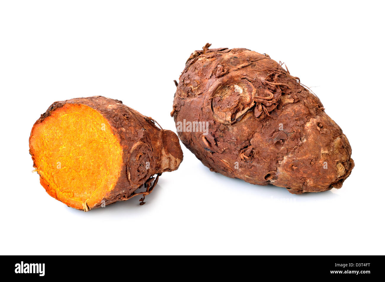 turmeric-root-on-a-white-background-close-up-D3T4FT.jpg