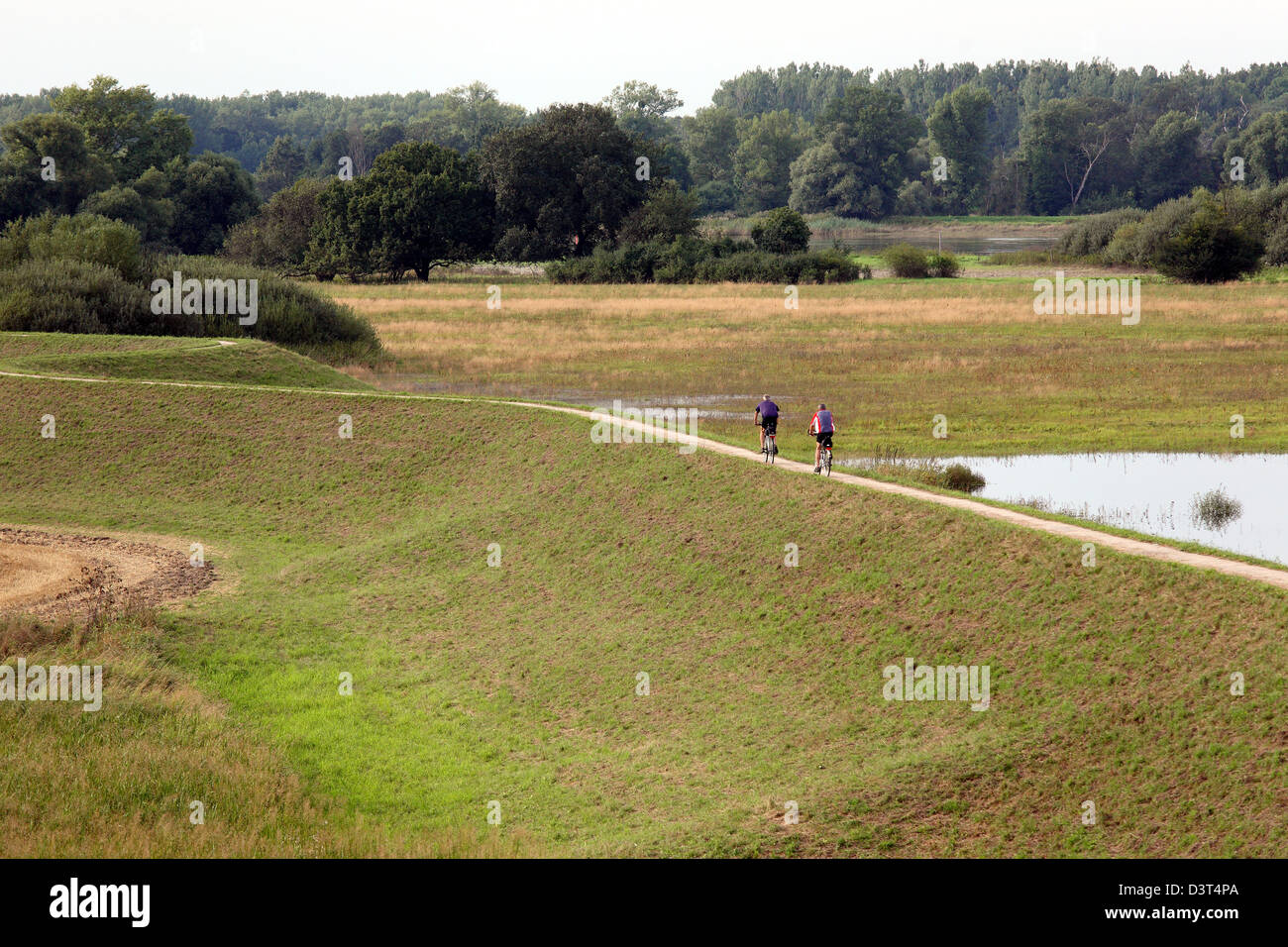 Dessau, Germany, cyclists on the Fuerst-Franz-cycle Stock Photo