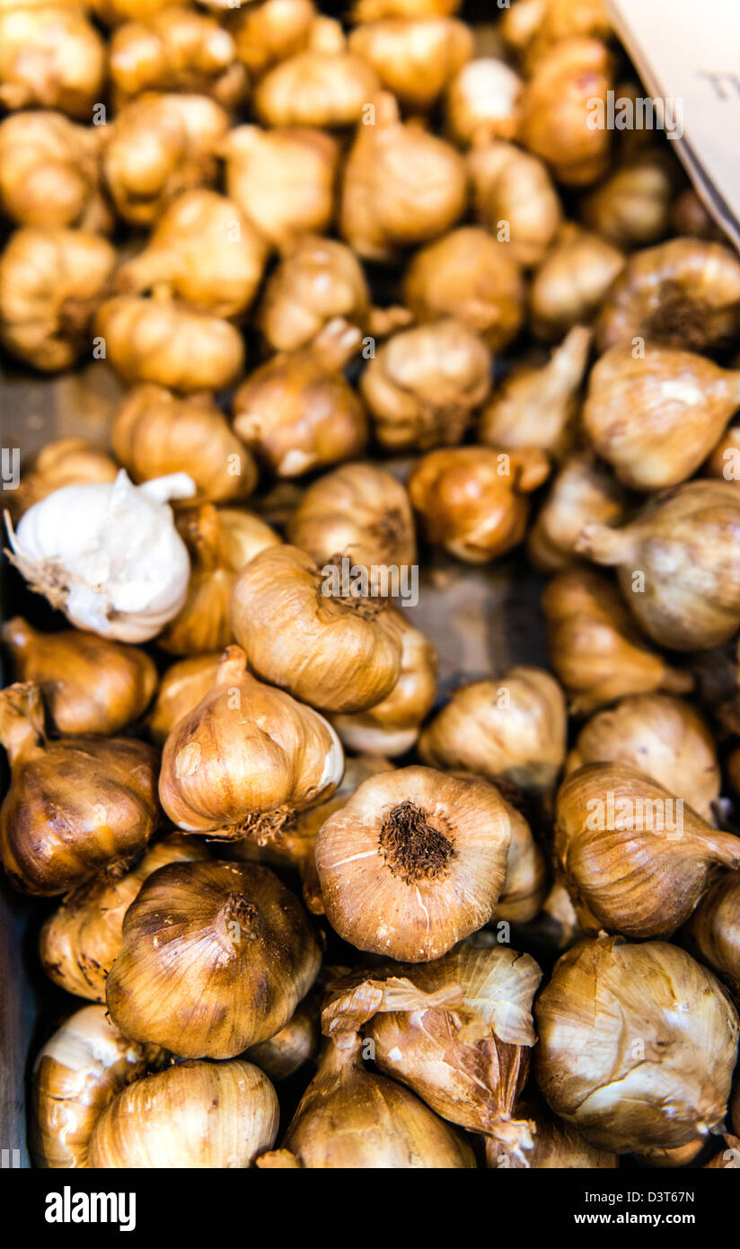 Oak Smoked Garlic bulbs at The Garlic Farm Isle of White England Great Britain UK Stock Photo