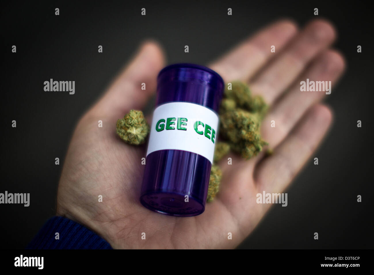 Medical Marijuana. A California medical marijuana user displays their purchase of Gee Cee , a highly potent marijuana. Stock Photo