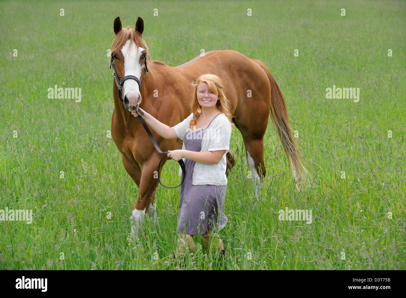 Young woman leading horse through grassy field, an eighteen year old red haired horsewoman. Stock Photo