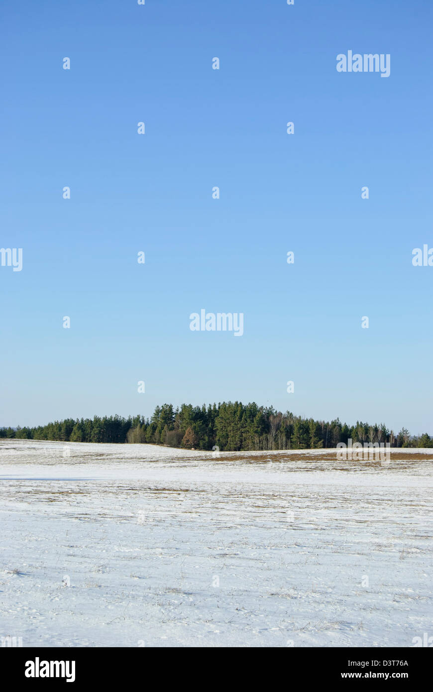 European spring landscape with field and forest in March. On fields snow starts to thaw Stock Photo