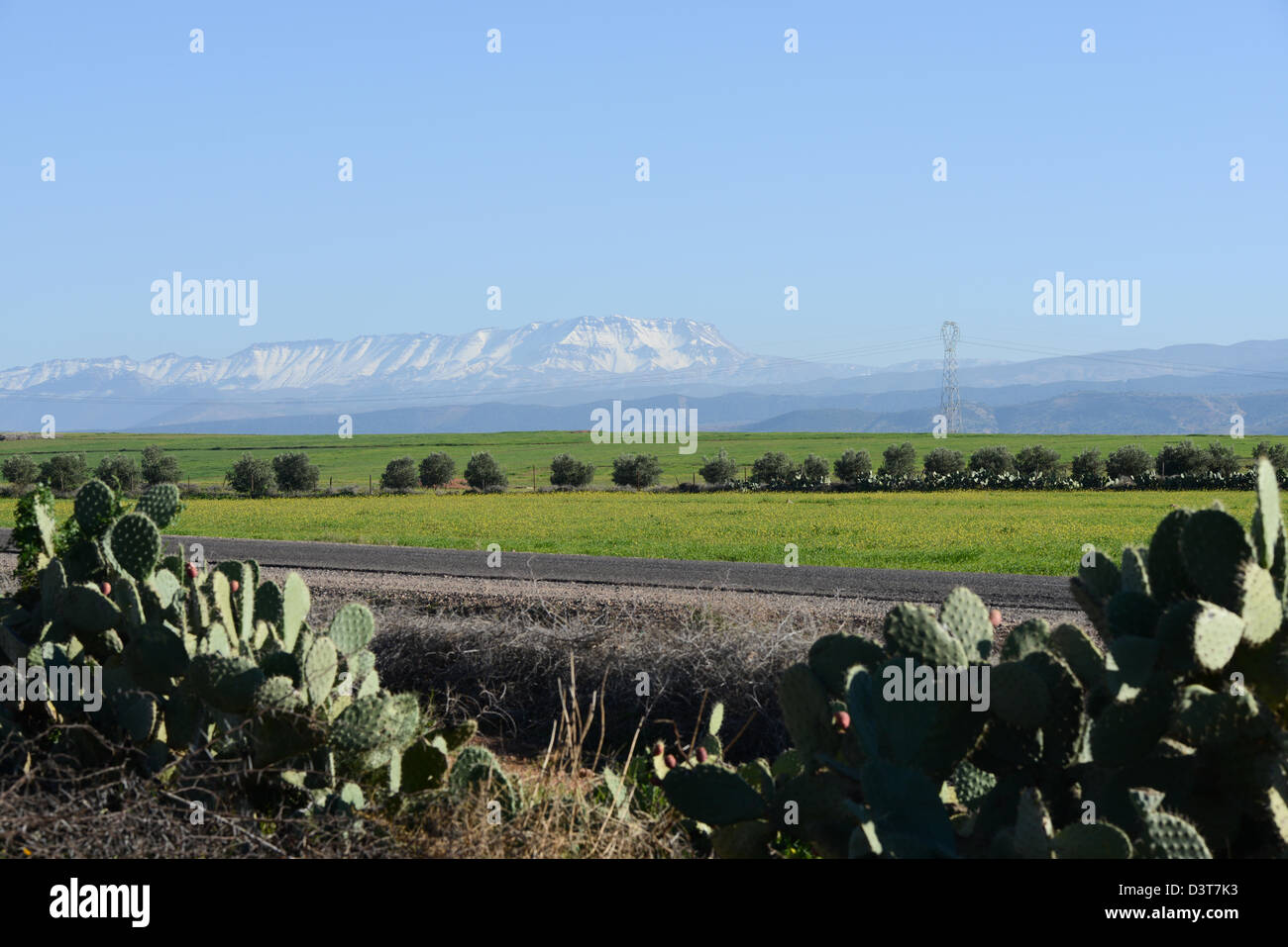 Middle Atlas Mountains, Morocco Stock Photo