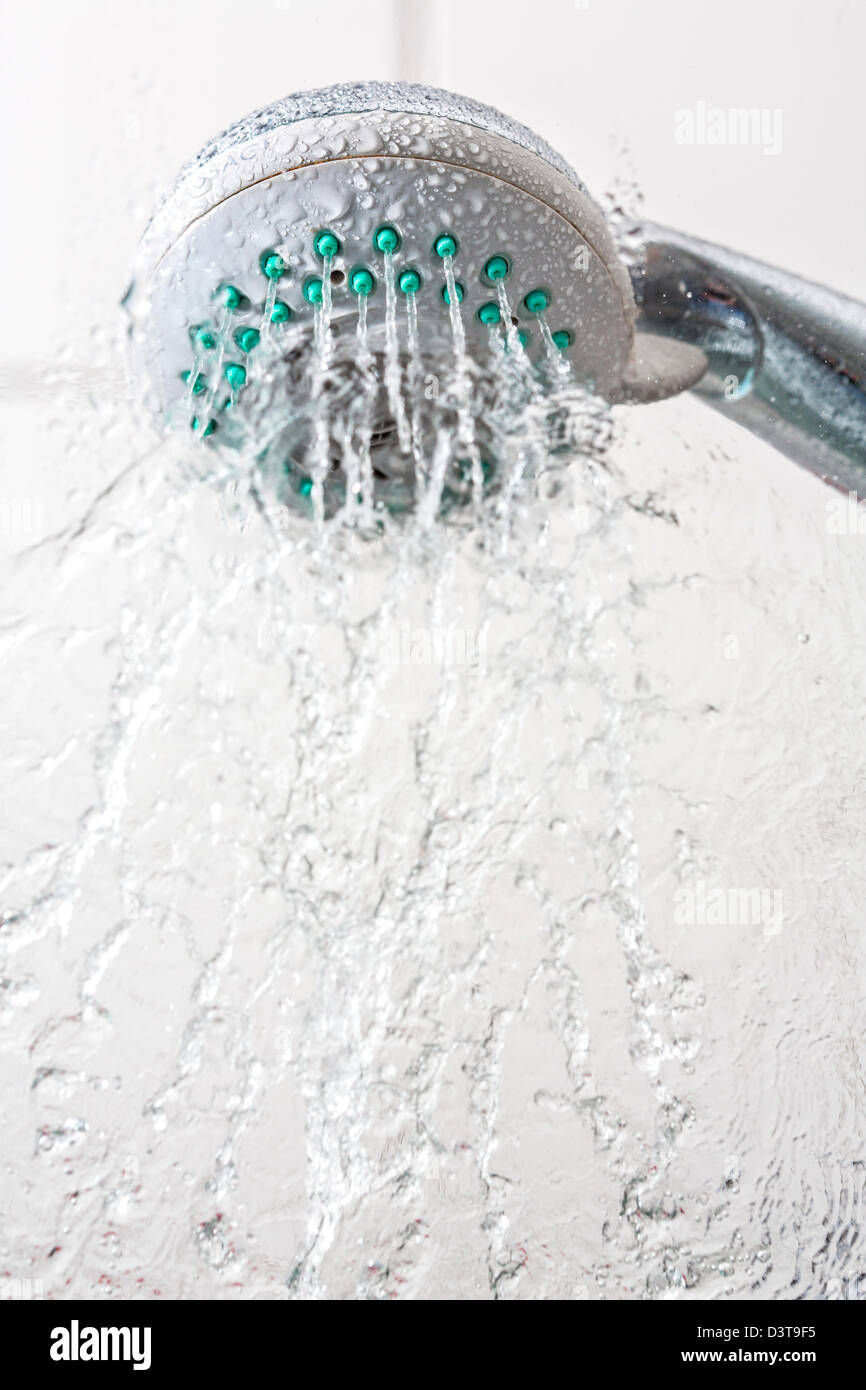 Water splashing out of a shower head Stock Photo Alamy