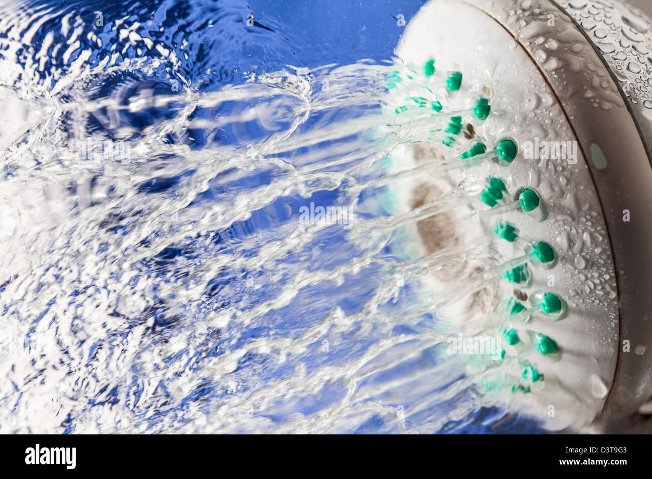 Water splashing out of a shower head Stock Photo Alamy