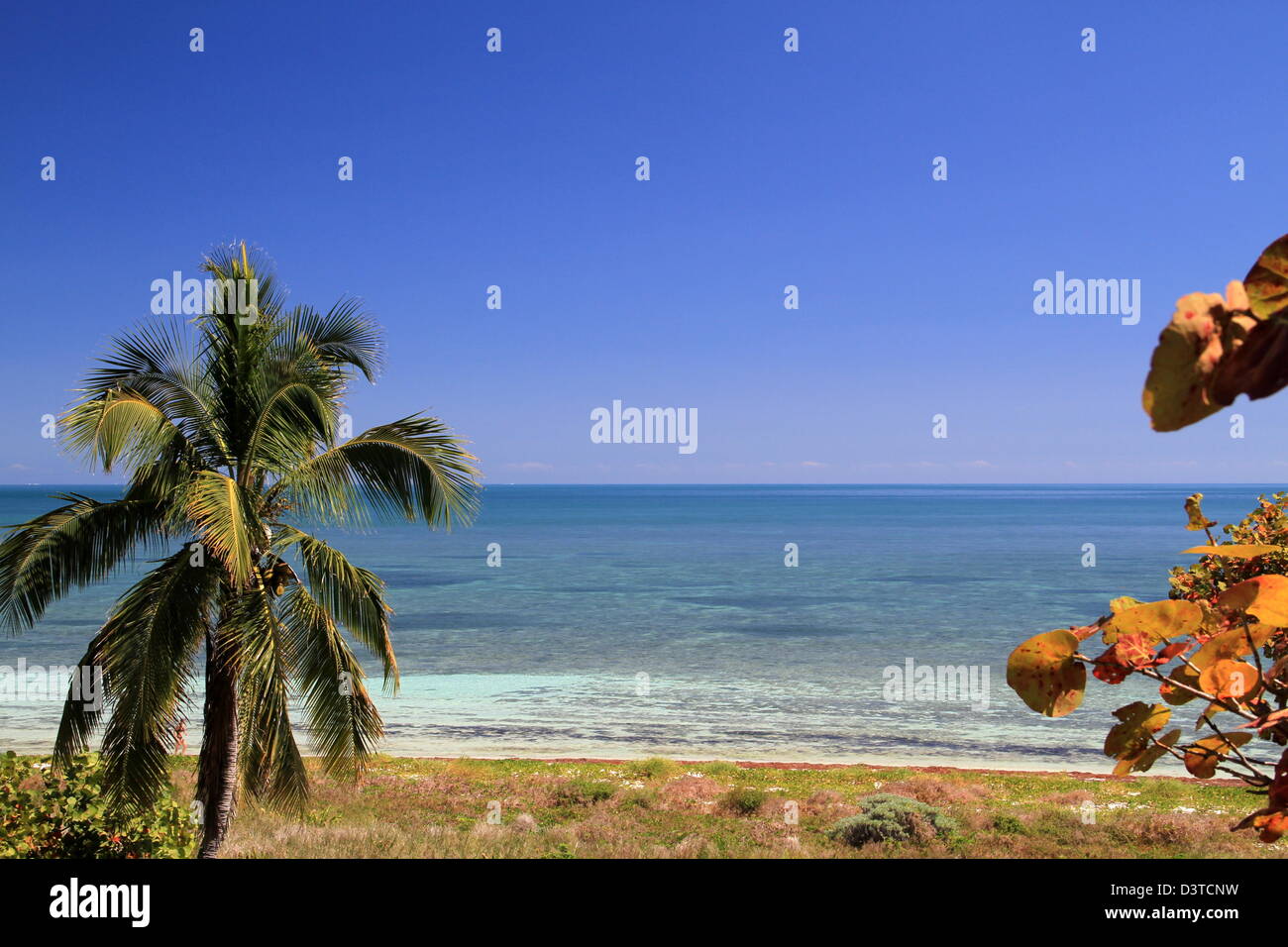 Island Paradise Bahia Honda Key The Florida Keys Stock Photo Alamy