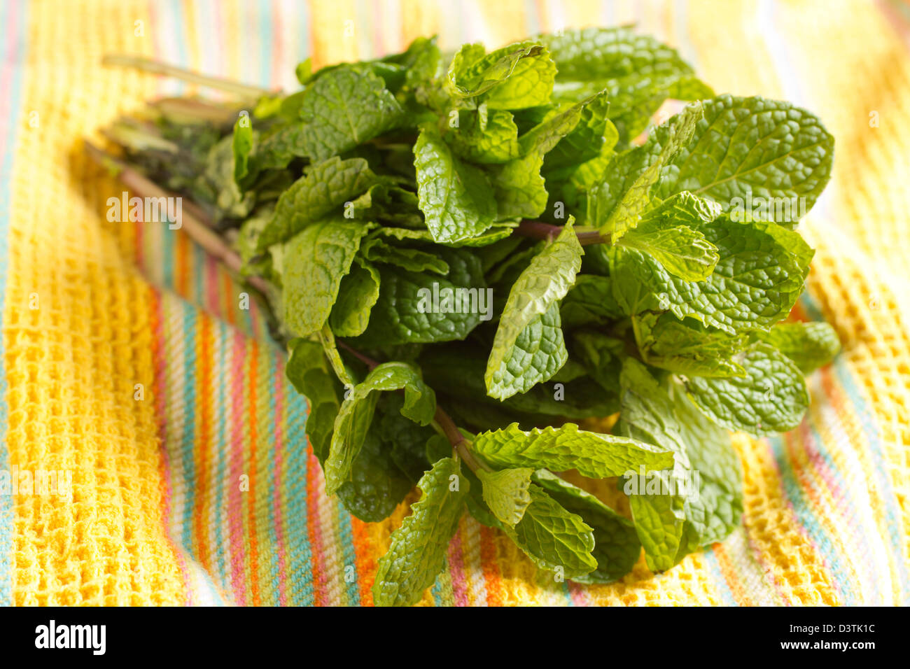 a bunch of fresh mint leaves Stock Photo Alamy