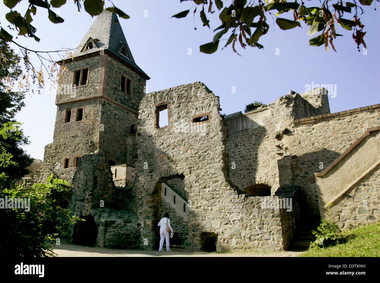 (dpa file) The picture shows the ruins of the Frankenstein castle, a