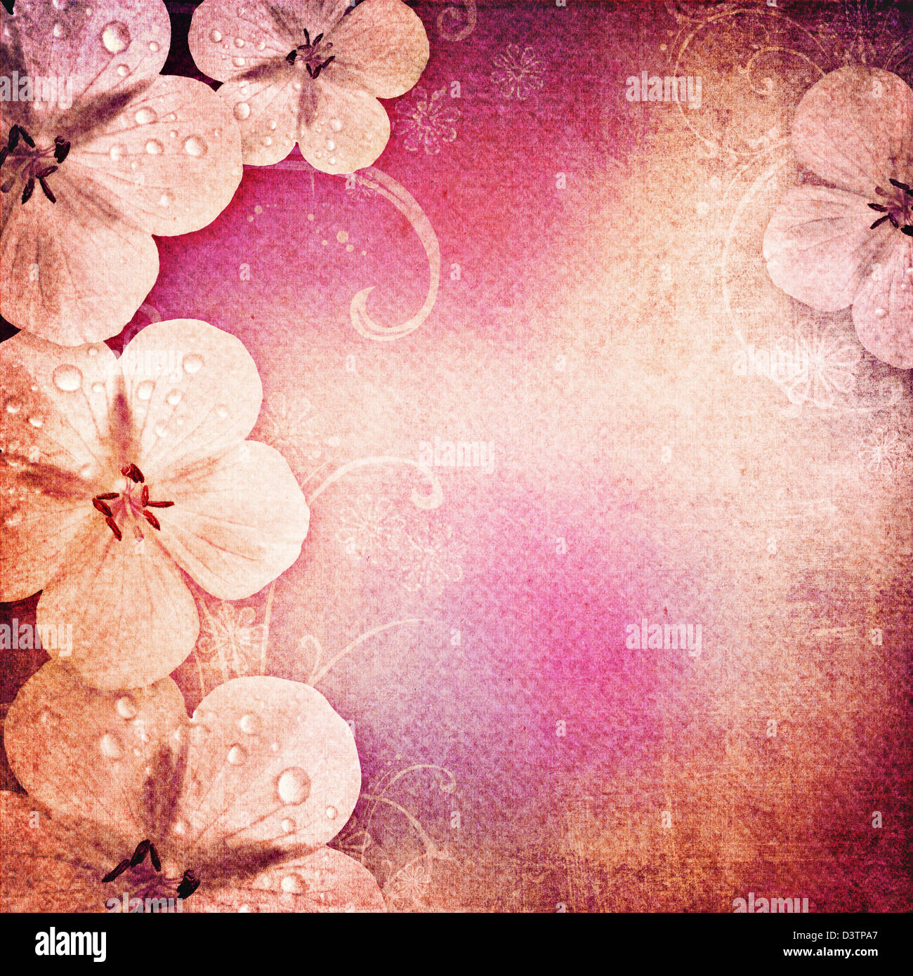 Vintage romantic background with flowers Stock Photo - Alamy