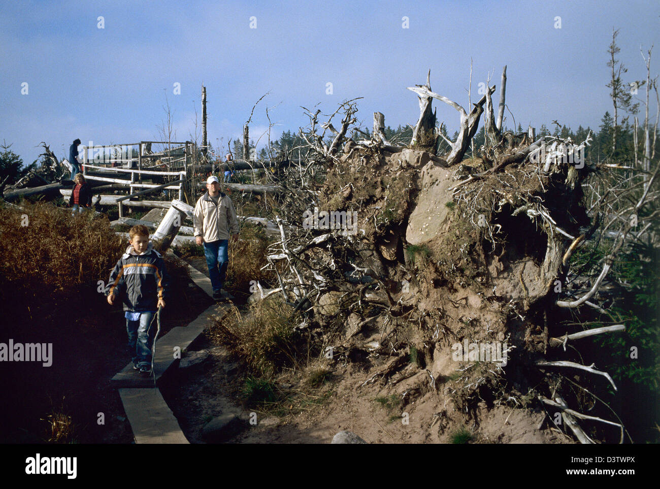 Hikers walk on boardwalks on the 'Lothar Path' among the leftovers of