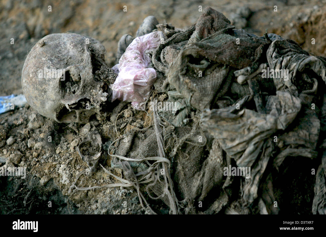 A picture shows mortal remains in a common grave in Snagovo near Zvornik, Bosnia and Herzegovina, 15 November 2006. Zvornik is located near Srebrenica at the border to Serbia. The city's number of inhabitants went down to 21,000, mostly Serbs and Serbian refugees from the Bosnian-Croatian Federation. The city set the sad scene for the massacre in July 1995, when Bosnian Serbs under Stock Photo