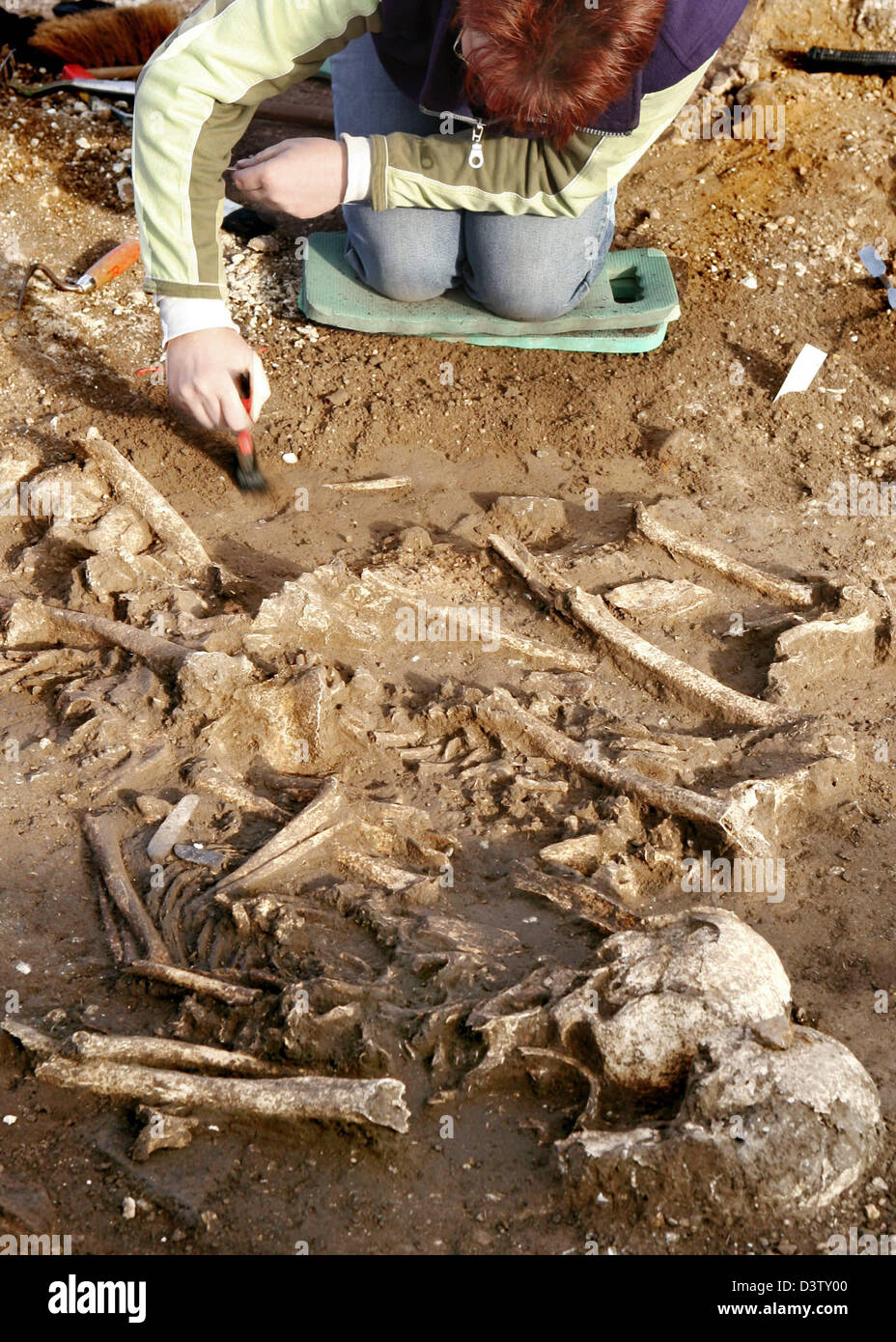 (FILE) - Jana Bormann takes part in the excavation of a 5500 year old mass grave near Salzmuende, Germany, Monday, 27 November 2006. Three layers of skelletons with ten corpses were found in the mysterious grave. The grave is located in the centre of a religious cult place which had been used for 3000 years from the stone to the bronze age. Photo: Waltraud Grubitzsch Stock Photo