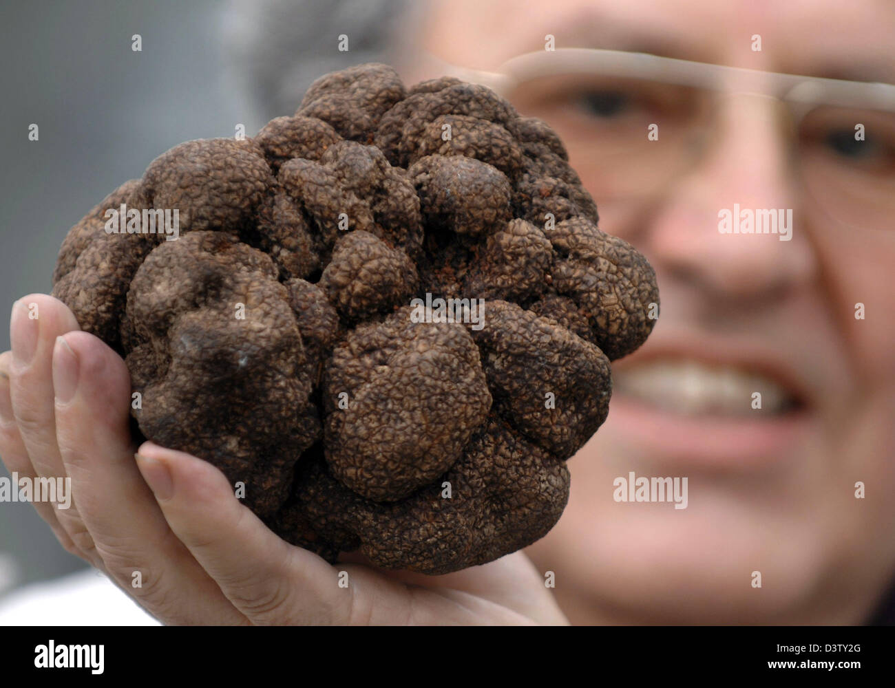 Horst Danner presents a giant black truffel at the airport of Munich, Germany, Thursday, 30 November 2006. The German fungus expert discovered the truffel in China. According to Danner the black truffel (Lat.: Tuber sinense) weighs exactly 1.098 kilograms. The normal weight of a truffel is between 10 to 25 grams, the yet biggest truffel is a white 1.31 kilograms specimen found in C Stock Photo