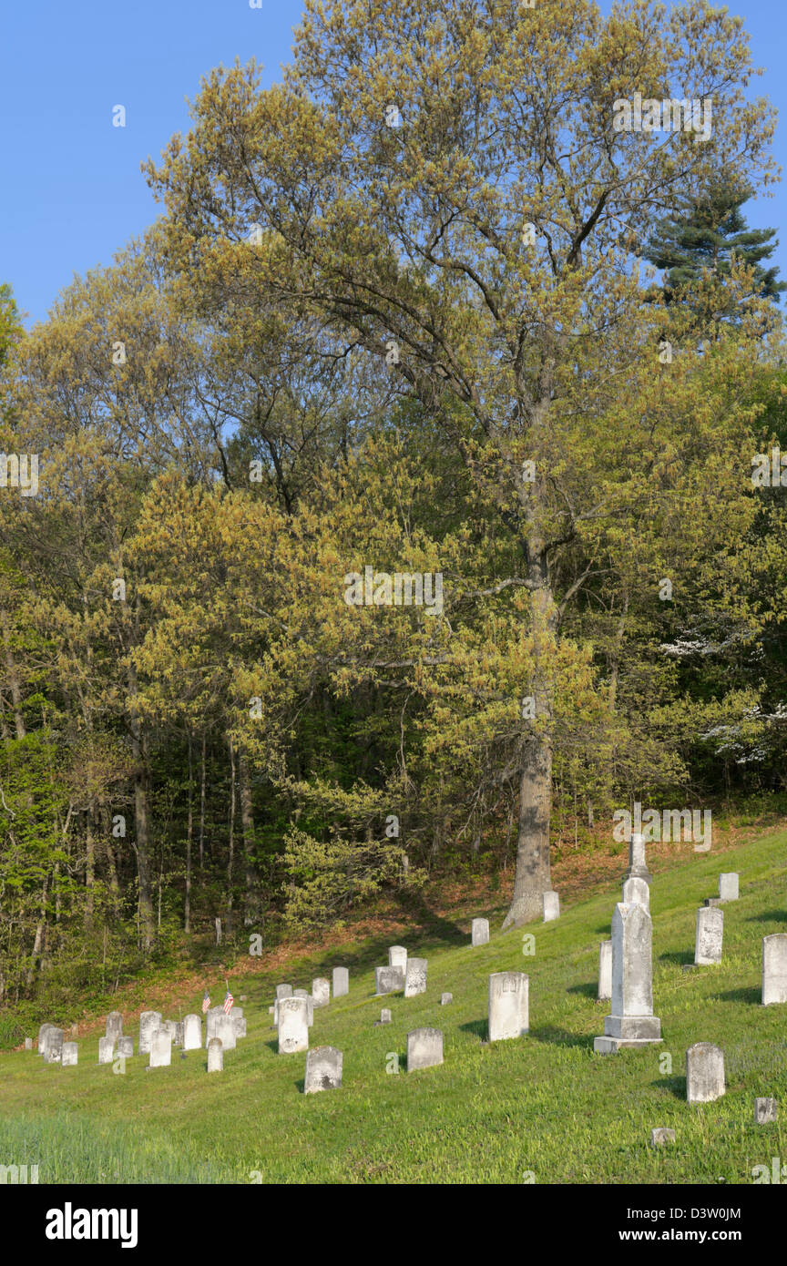 Cemetery at the edge of summer woods with old headstones in peaceful morning light, rural countryside in Pennsylvania, PA, USA. Stock Photo