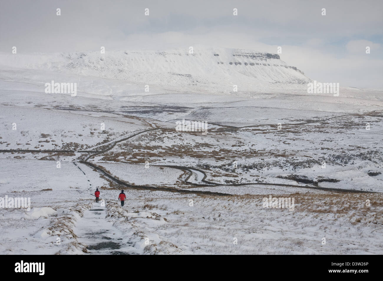 Winter walkers on the Yorkshire Three Peaks route, with Pen-y-ghent in the distance Stock Photo