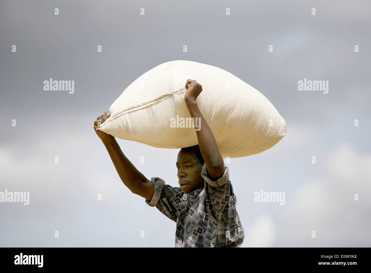 Man carrying sack rice on hires stock photography and images Alamy