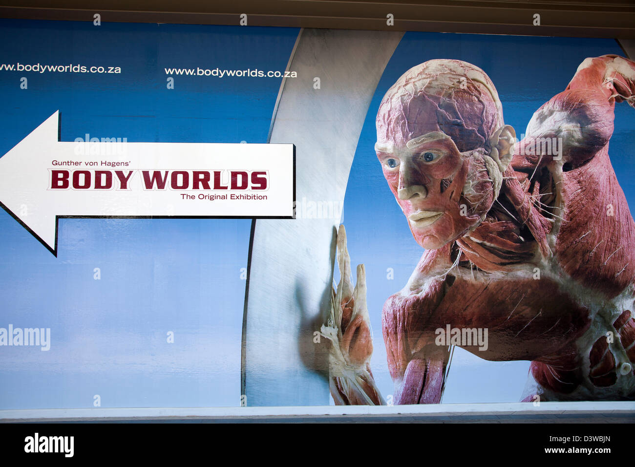 Gunther von Hagen's Body Worlds Show Poster in Cape Town - South Africa Stock Photo