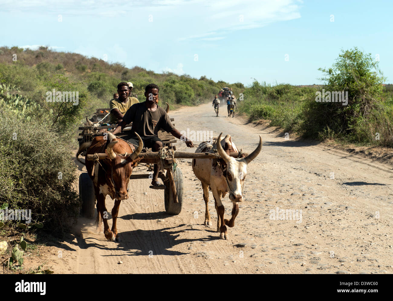 Ox carts Toliara South West Madagascar Stock Photo