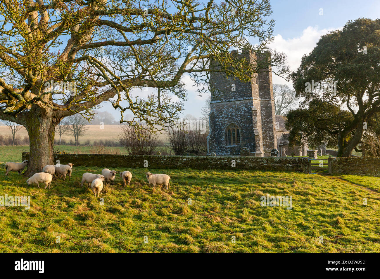 Whitcombe Church built in the 12th century, Whitcombe, Dorset, England, UK, Europe. Stock Photo