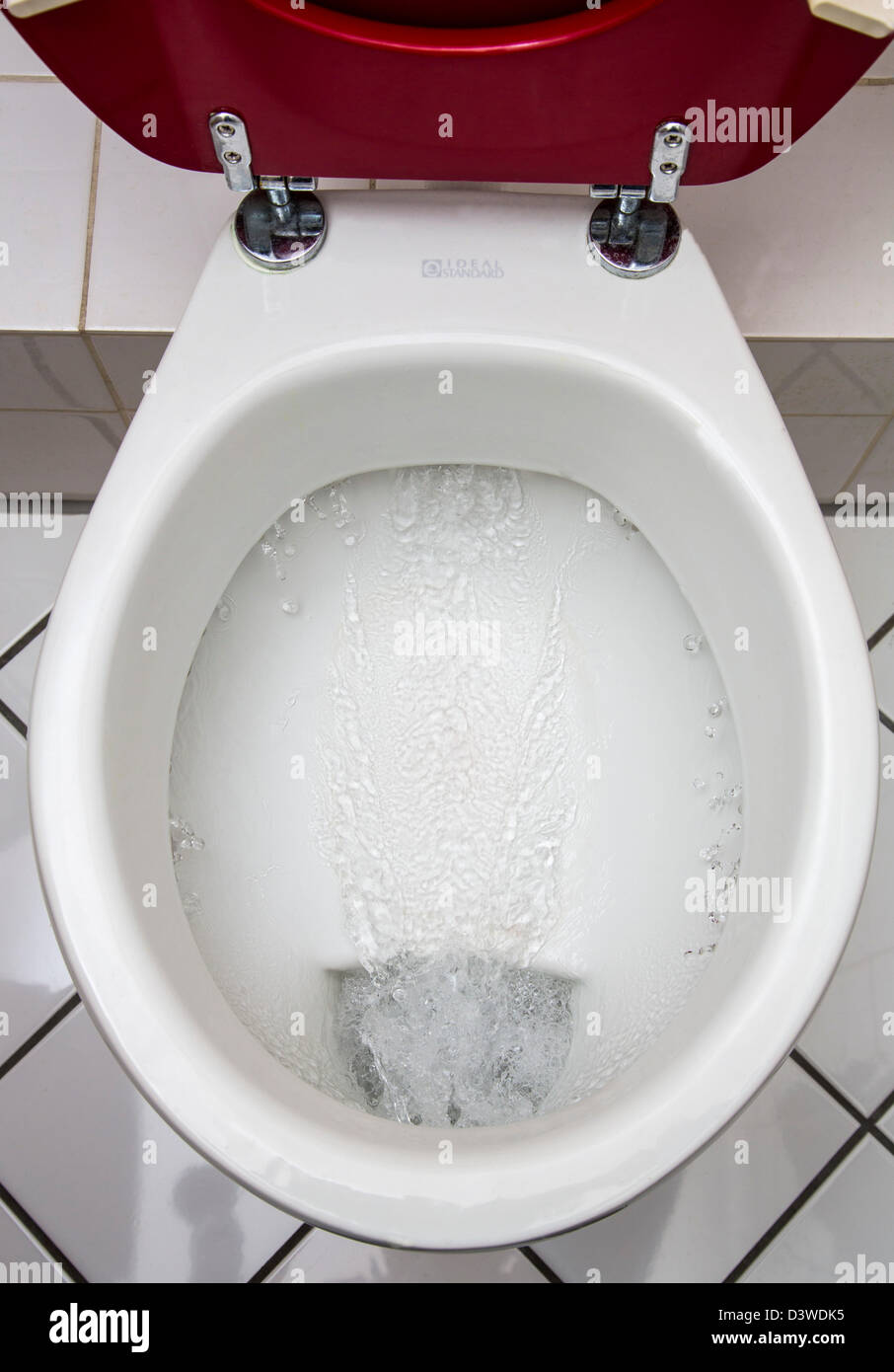 Water toilet, toilet flushing Stock Photo Alamy