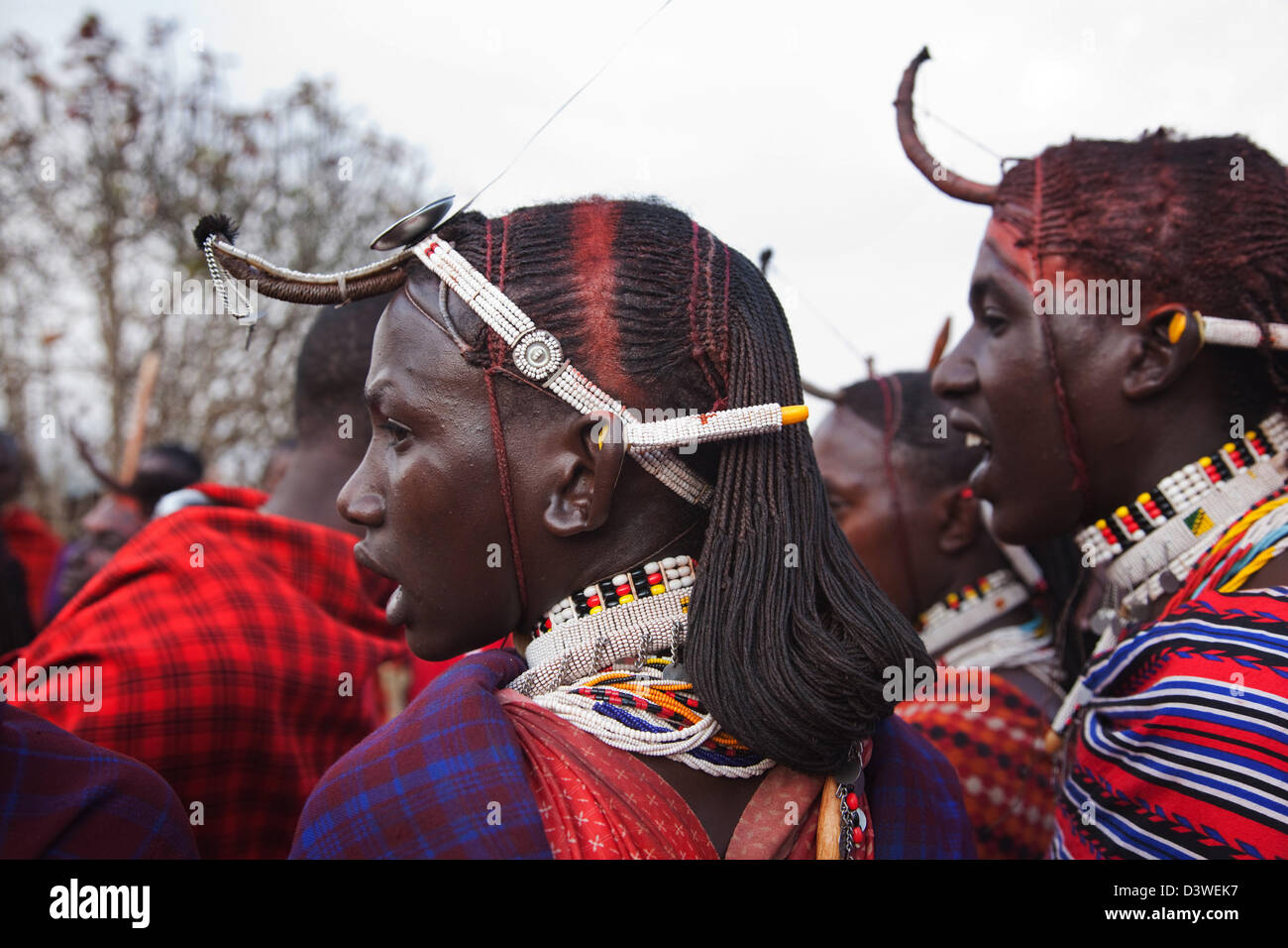 Young maasai men with beads, red shukas and plaited hair dance the traditional jump dance adumu at a wedding party. Stock Photo
