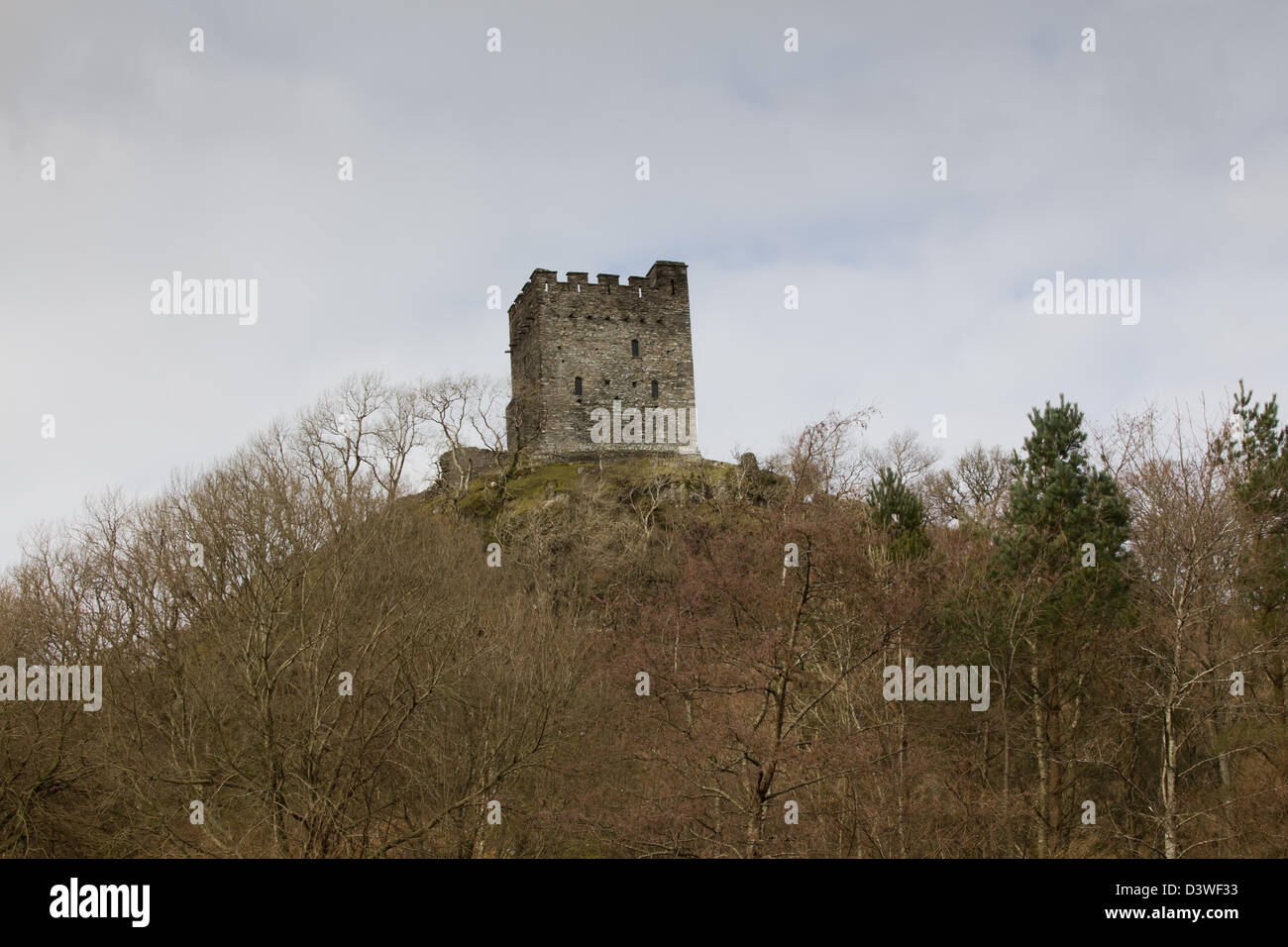 Dolwyddelan Castle, a 13th century castle of the Welsh Princes and birthplace of Llywelyn Fawr - Llywelyn the Great Stock Photo