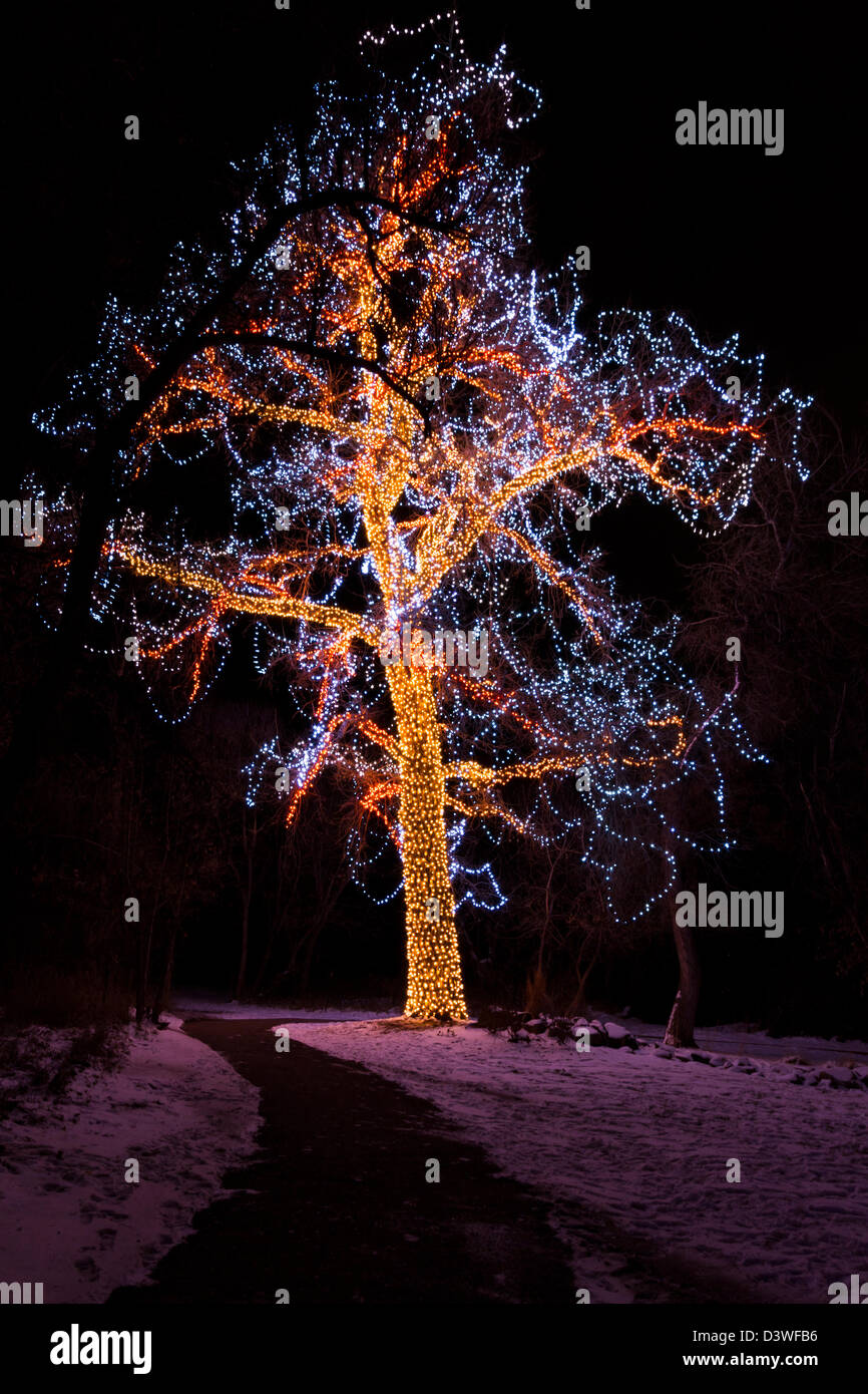 Historic farm decorated with Christmas lights Stock Photo Alamy
