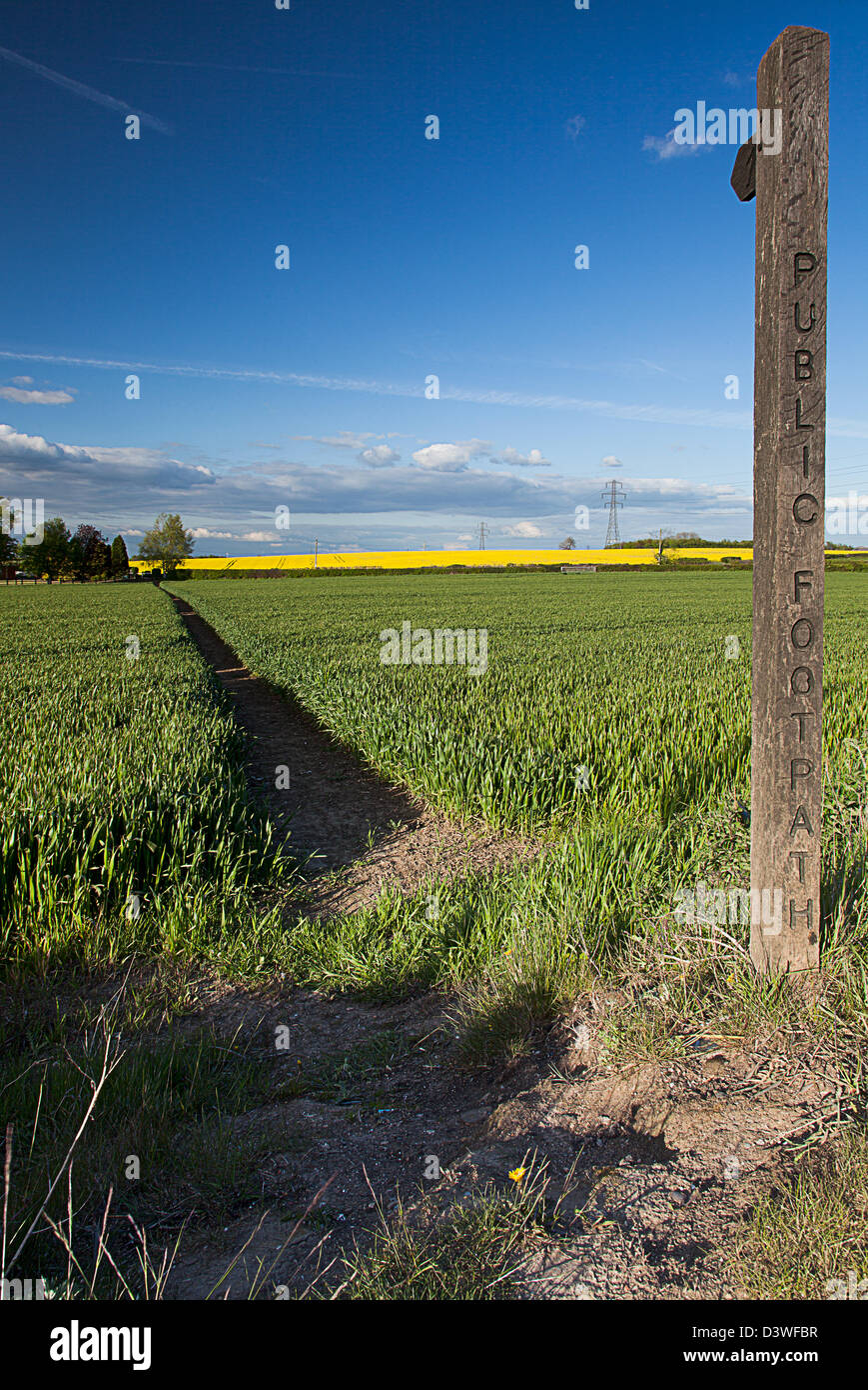 A Public Footpath Finger post looking toward a footpath through a field on unripe barley Stock Photo